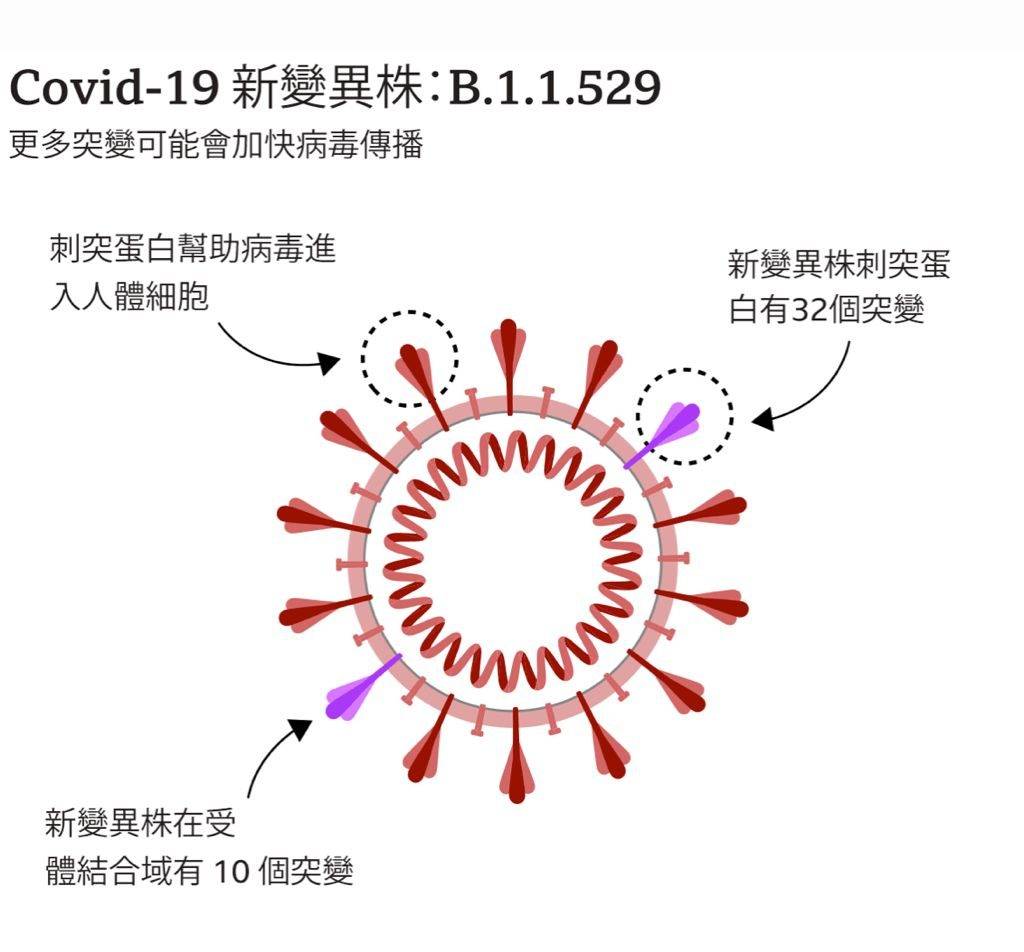 圖片顯示，與新冠變異病毒德爾塔毒株相比，奧密克戎毒株擁有更多的刺突蛋白突變。這些變異多樣化，且大部分位於與人體細胞相互作用的區域。BBC圖片