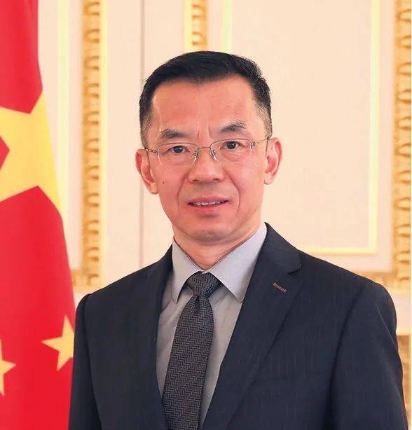 中國駐法大使盧沙野。