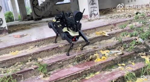 紅翼前鋒戰鬥機器狗，可上下樓梯、進入室內空間，執行高暴條件下的火力偵查、打擊任務。