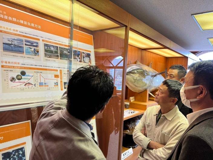 馬雲到訪日本近畿大学水產研究所。（南華早報）