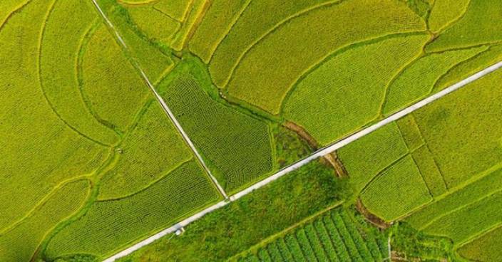 Amazing view of paddy fields in Sichuan