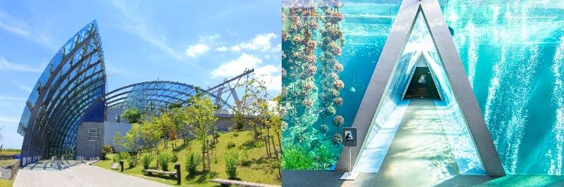 Discover Nature and Culture in Japan’s Tohoku: Family-Friendly Highlights A Perfect 5-Day, 4-Night Journey for Families 