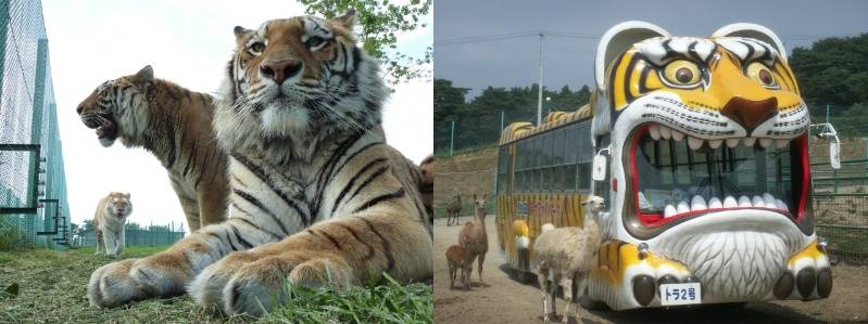 Discover Nature and Culture in Japan’s Tohoku: Family-Friendly Highlights A Perfect 5-Day, 4-Night Journey for Families 