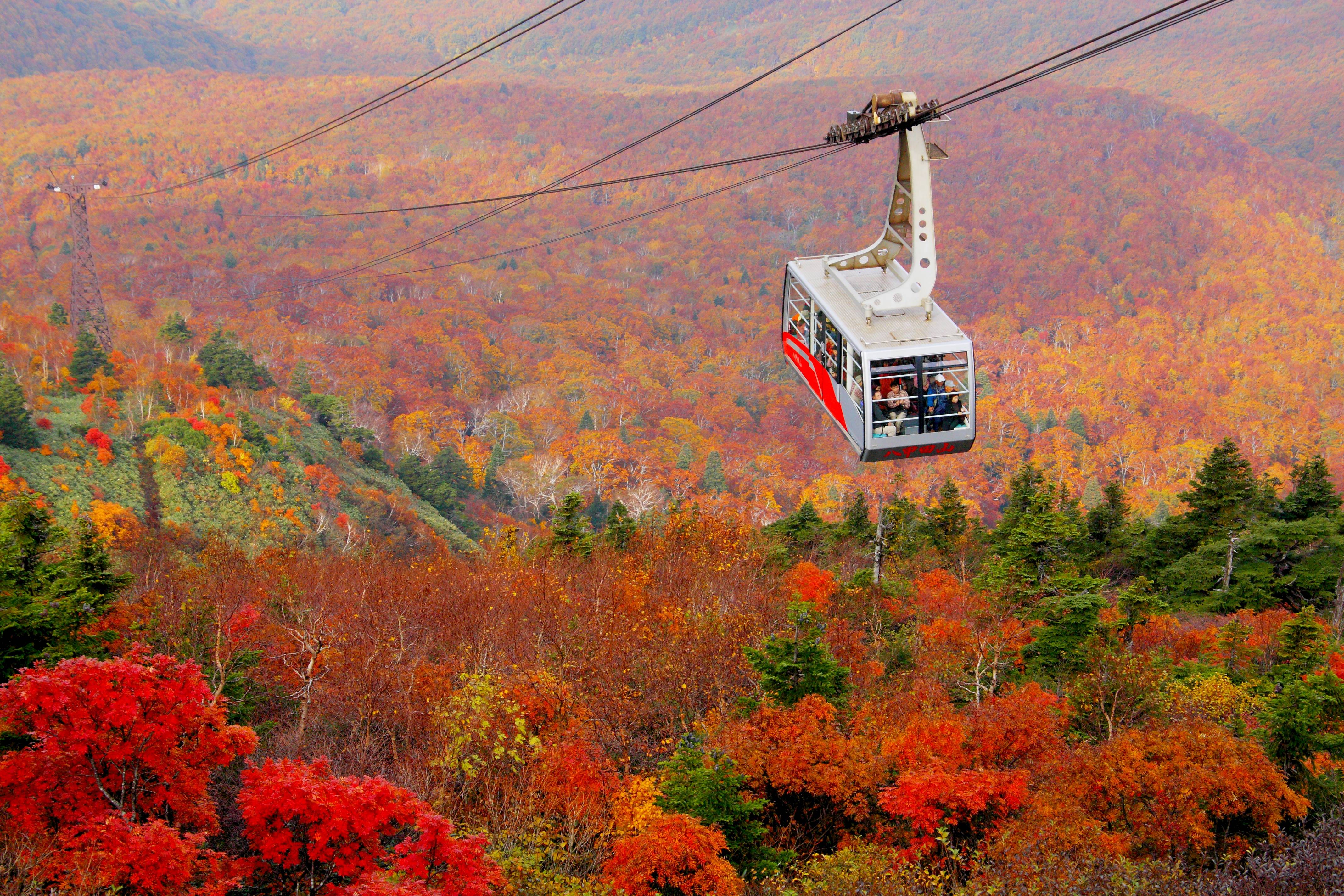 Autumn Foliage Journey in Tohoku, Japan: Must-See Scenic Spots to Visit in October 