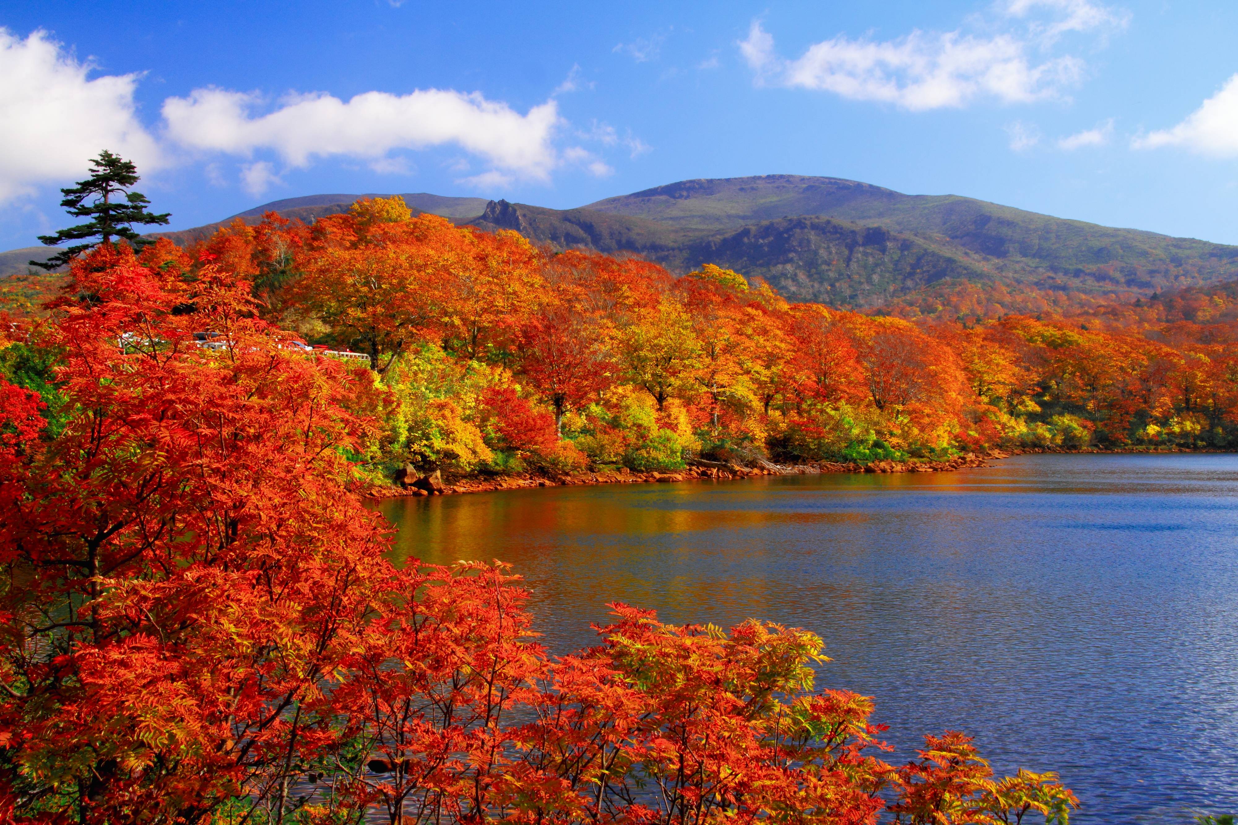 Autumn Foliage Journey in Tohoku, Japan: Must-See Scenic Spots to Visit in October 