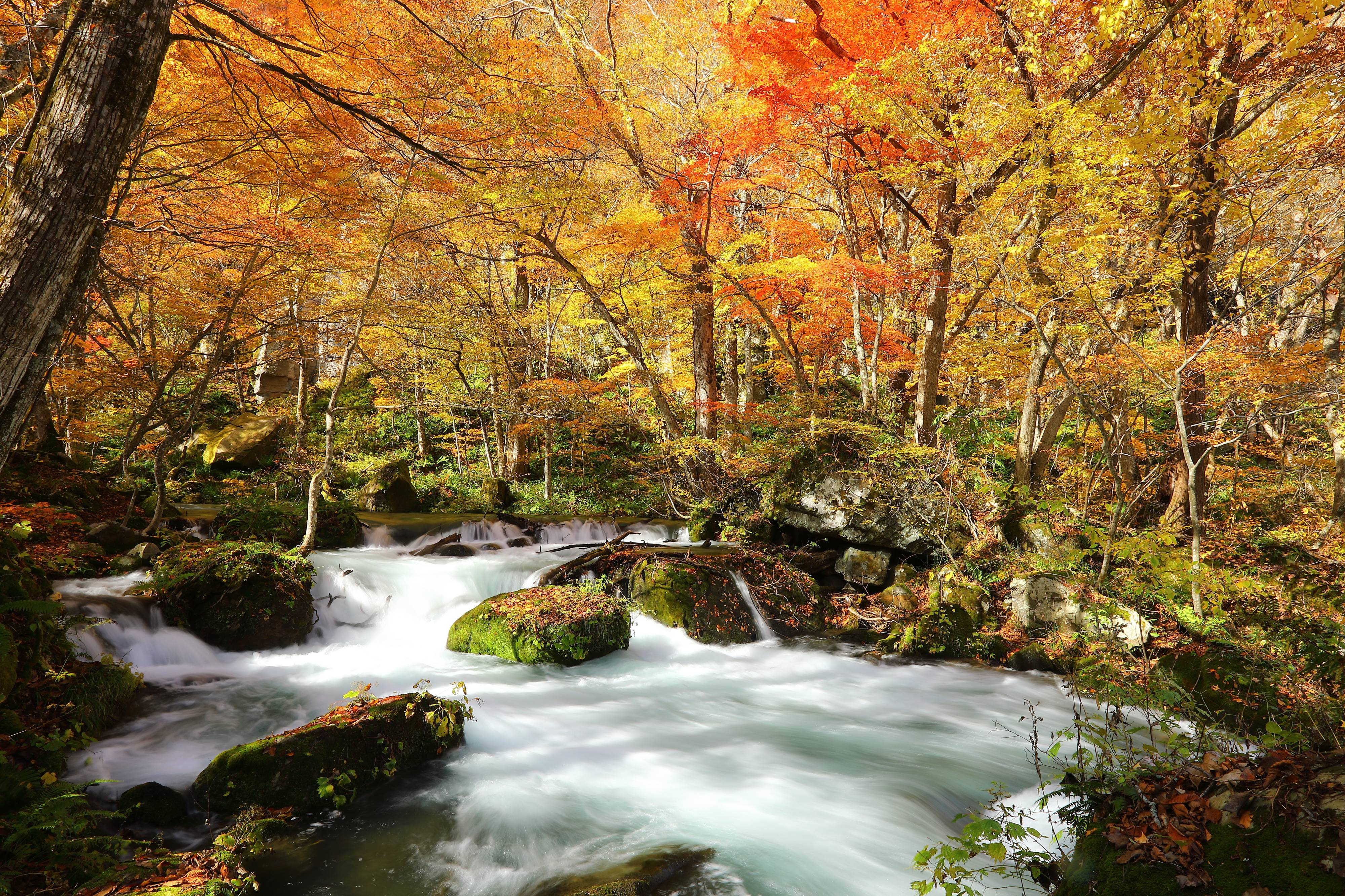 Autumn Foliage Journey in Tohoku, Japan: Must-See Scenic Spots to Visit in October 