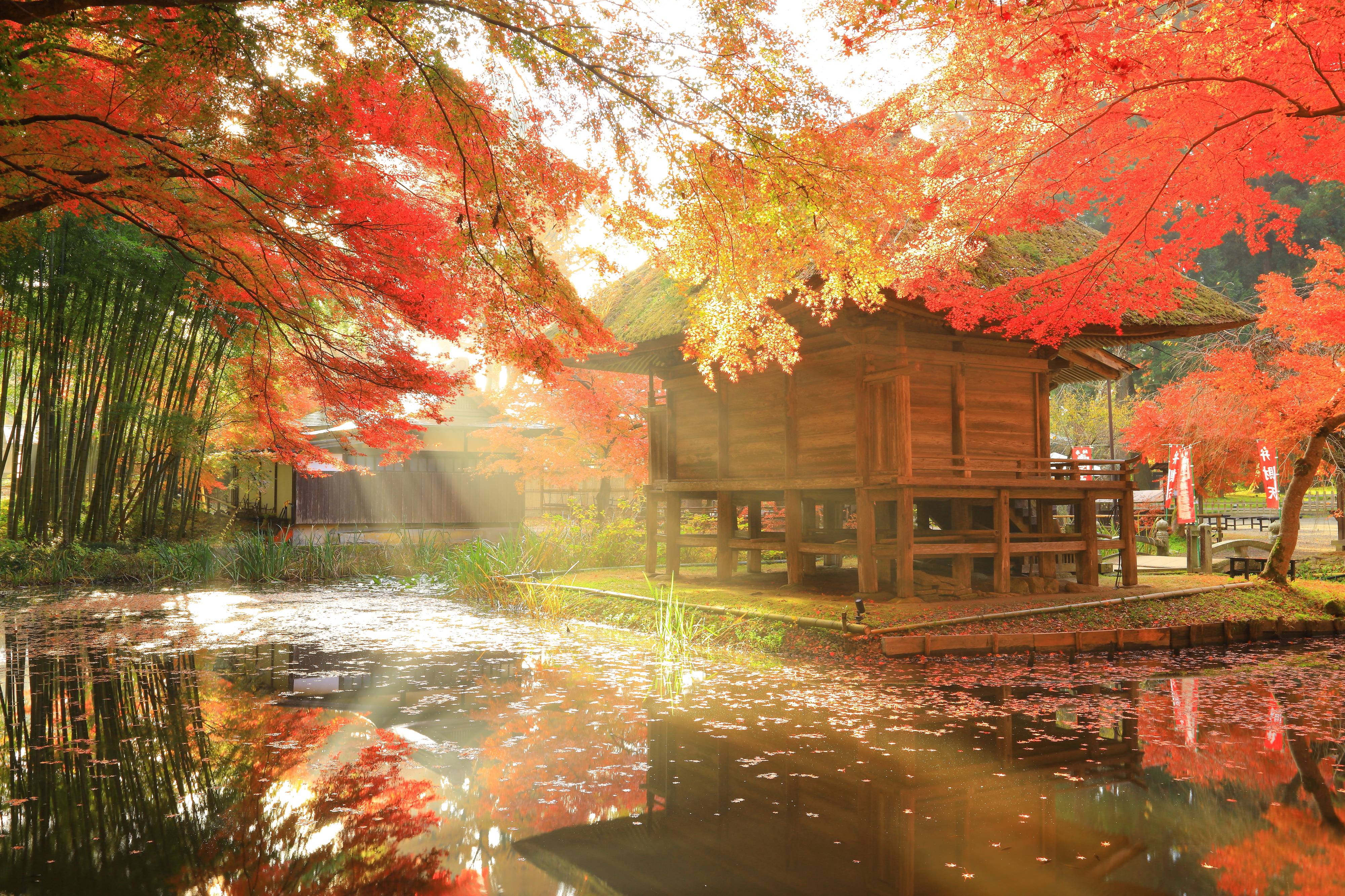 Autumn Foliage Journey in Tohoku, Japan: Must-See Scenic Spots to Visit in October 