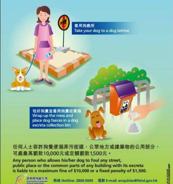 狗主放狗唔執大小便 網民氣憤鬧爆 | 社會事