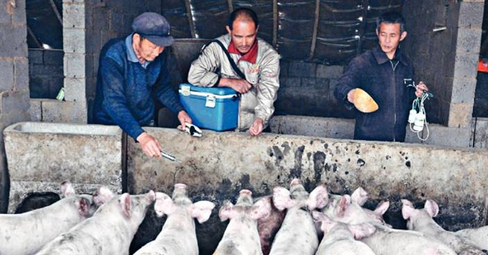 「外省豬」禁輸港價錢升三成 香港市民農曆年勢捱貴肉