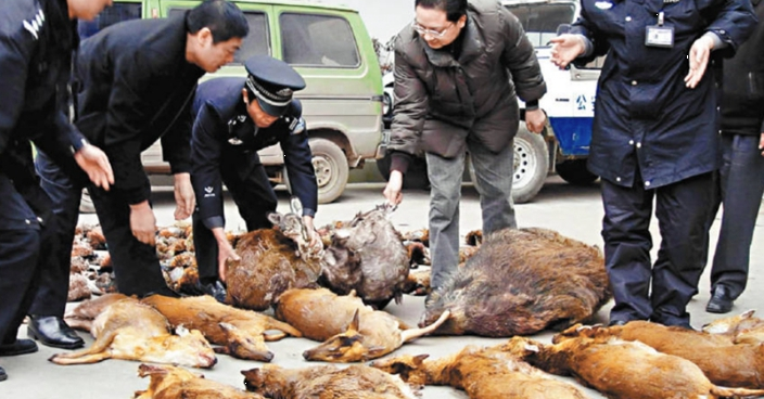 內地嚴打非法野生動物交易 無良商轉戰網絡平台