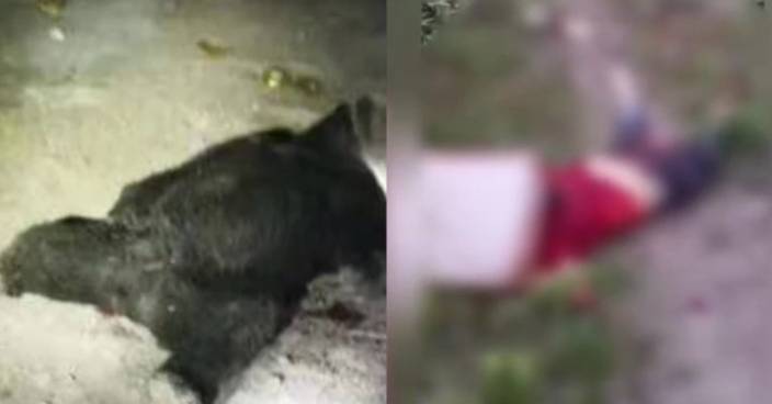 川媽送兒子返學被黑熊襲擊身亡 另兩人搜救時死亡
