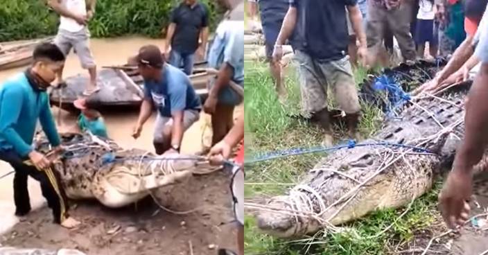17歲女遭巨鱷拖落水 遺體尋回竟然完整