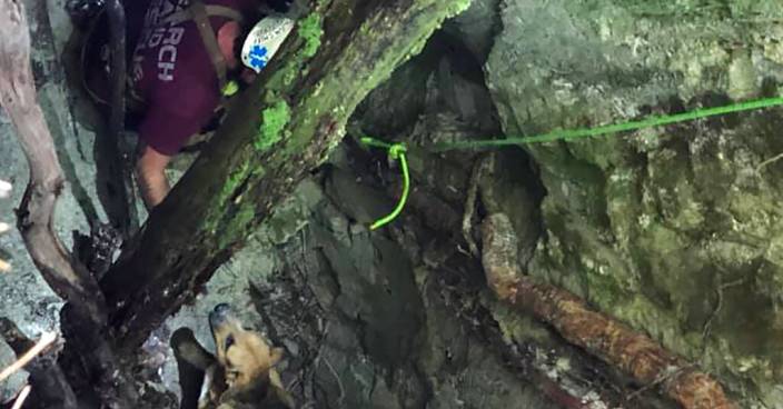 狗狗被困森林公園山洞 單車隊發現「牛肉亁」引誘救出