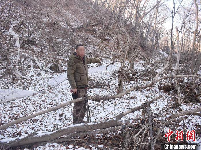 患病男子聽信謠言「喝鹿心血」：獵殺3隻鹿被刑拘