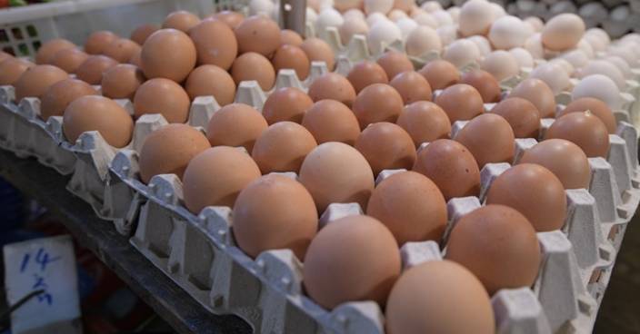 德意部分地區爆禽流感 禽肉及禽類產品暫停進口