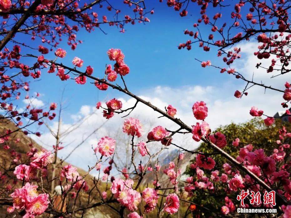 春遊去哪？這八條高速公路藏著「詩和遠方」