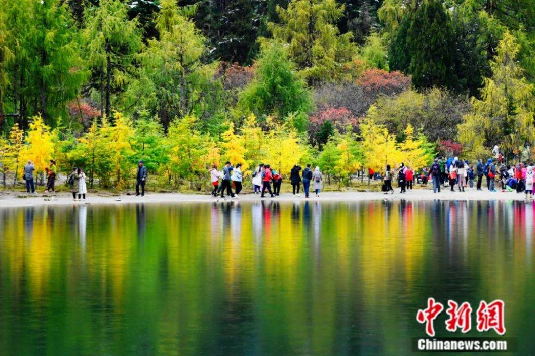 春遊去哪？這八條高速公路藏著「詩和遠方」