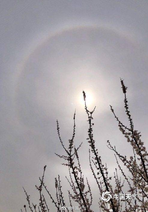 北京現日暈奇觀 你看到了嗎？