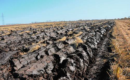前有「黑風暴」，後有「破皮黃」！不能再拖了！