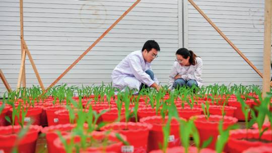 前有「黑風暴」，後有「破皮黃」！不能再拖了！