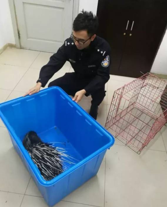 上海市民晨練發現不明生物！