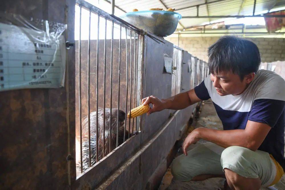 上海市民晨練發現不明生物！