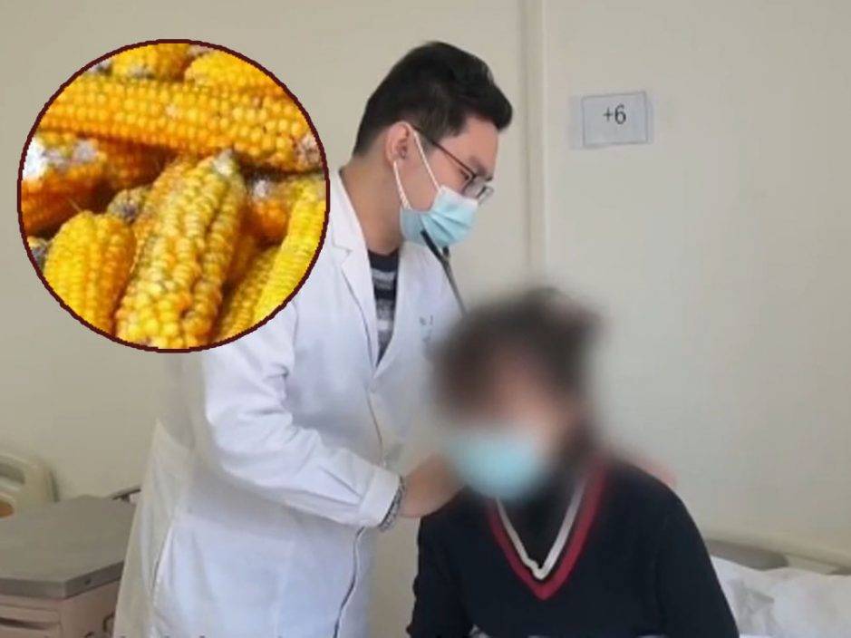 23歲女接觸霉變玉米 咳喘不止肺部生滿真菌