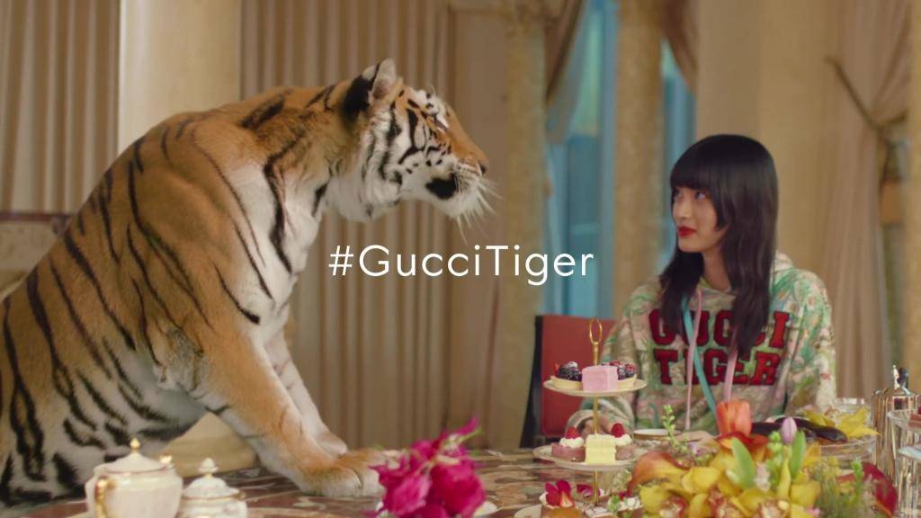 Gucci用真老虎拍廣告 動保組織批「無藥可救地脫節」