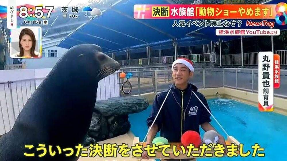 為減海獅海豚 工作壓力 日水族館取消動物表演環節