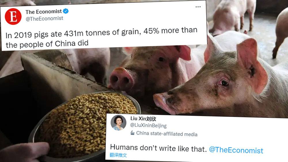 《經濟學人》稱「豬比中國人吃得多」 CGTN主持人回敬：人寫不出這種話
