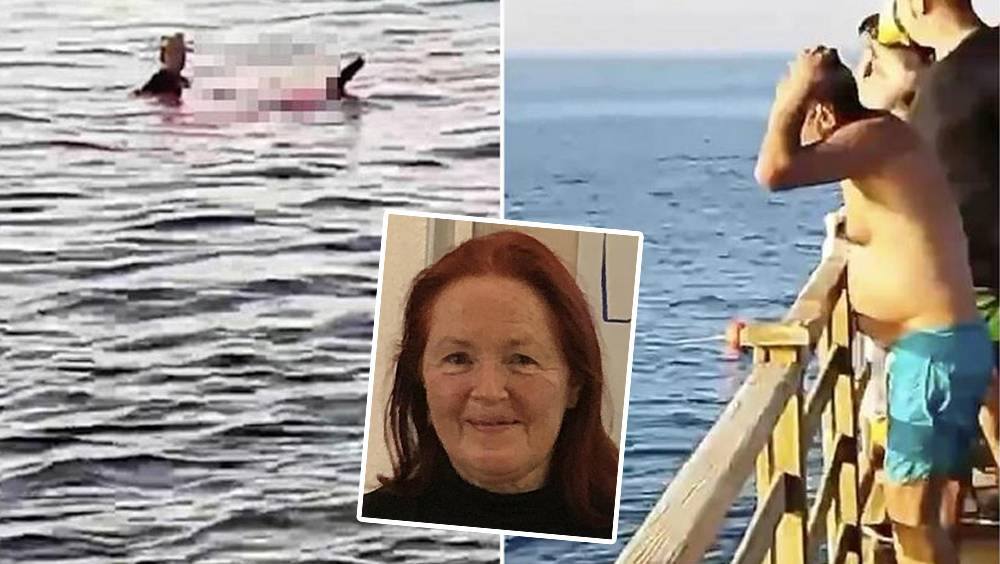 埃及紅海爆鯊魚咬死人 婦人手腳被扯斷血染海水