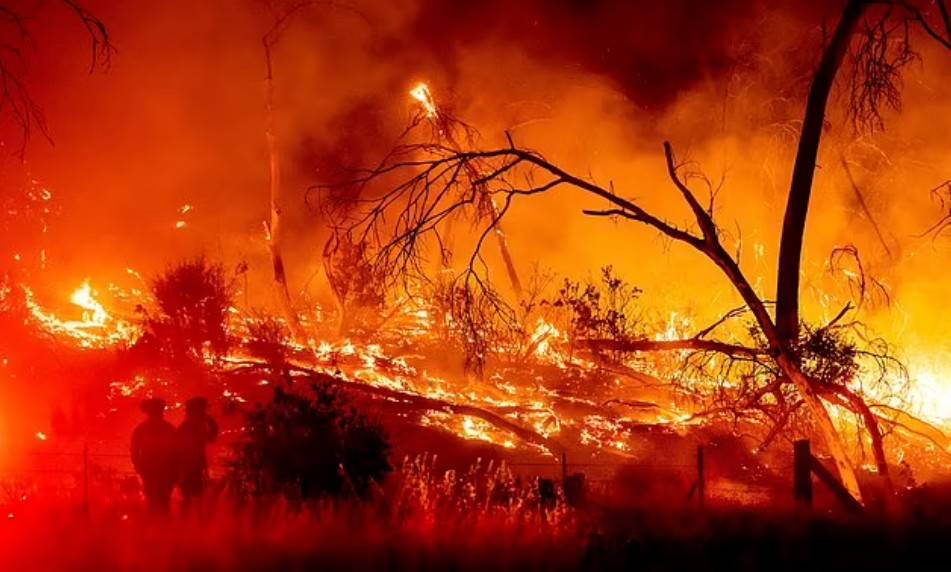 美國加州山火蔓延 1.3萬人斷電