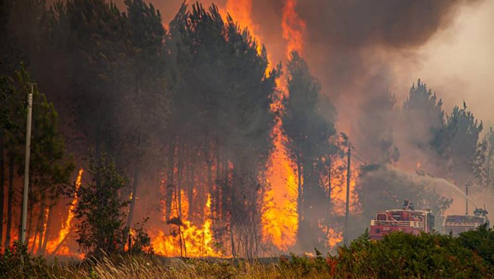 葡萄牙森林大火 濃煙瀰漫400公里外西班牙馬德里