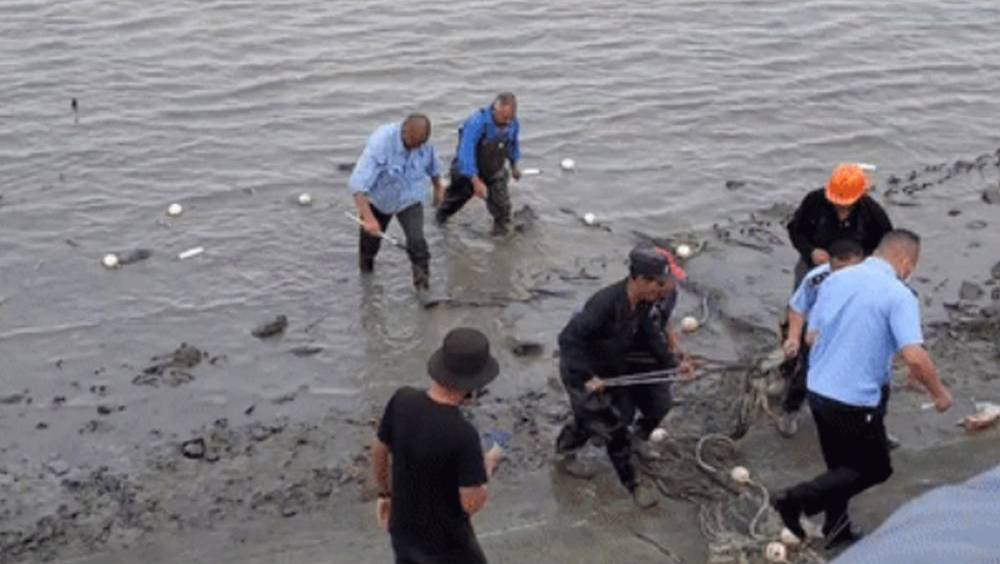 上海黃浦江畔驚現鱷魚 當局地毯式搜索6天終尋獲