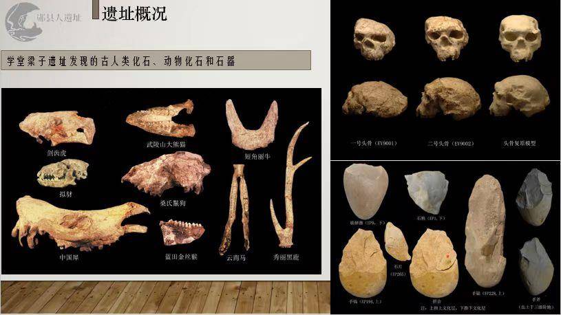 考古大發現　實證中國百萬年前已有人類活動