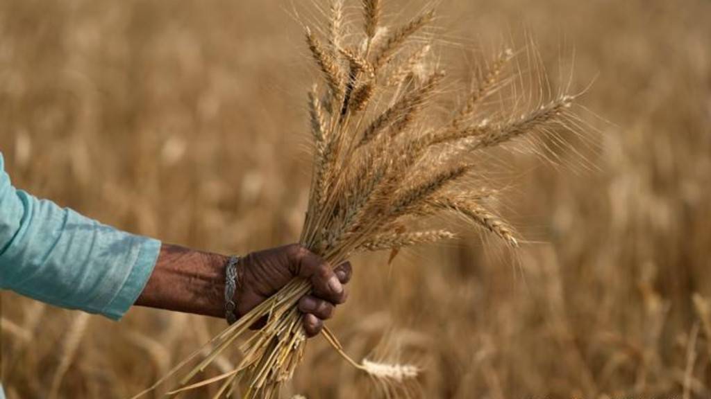 氣候不穩乾旱暴雨先後來襲 印度糧食生產面臨新威脅