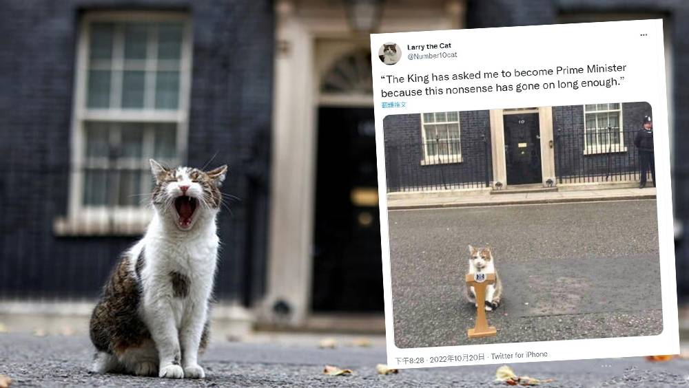 卓慧思辭職「英國第一貓」發文：國皇要我當首相