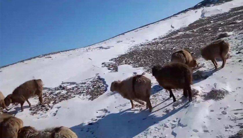 極寒天氣來襲 新疆阿勒泰市7名工人遇難