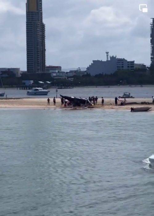 澳洲黃金海岸兩直升機相撞  傳4人死亡