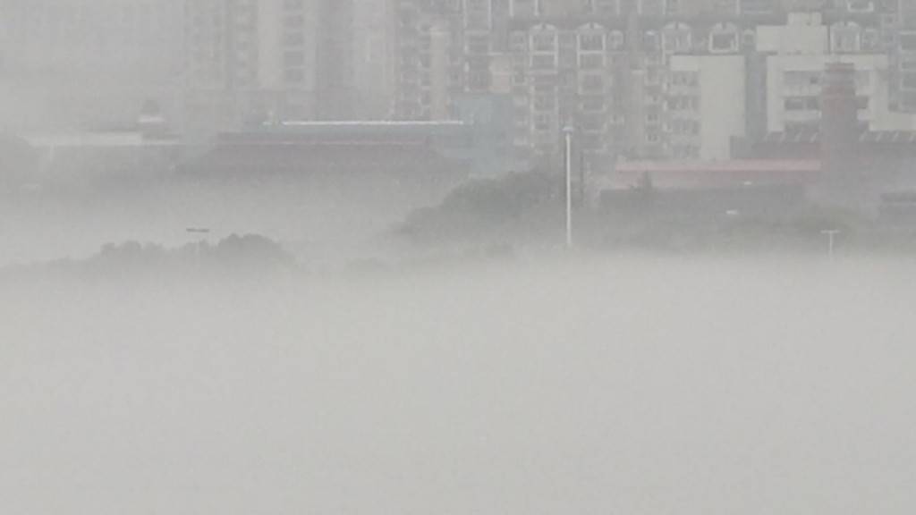 受大霧影響海口三港停航 兩岸約2700輛車待渡
