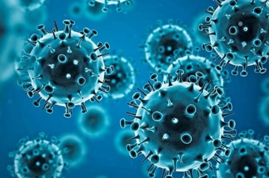 形成群體免疫感染率下降 專家：新冠病毒有點傳不動了