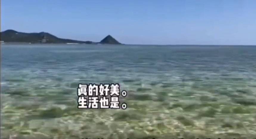 女子拍開箱片稱買起日本小島做島主 網民：未來花費巨大