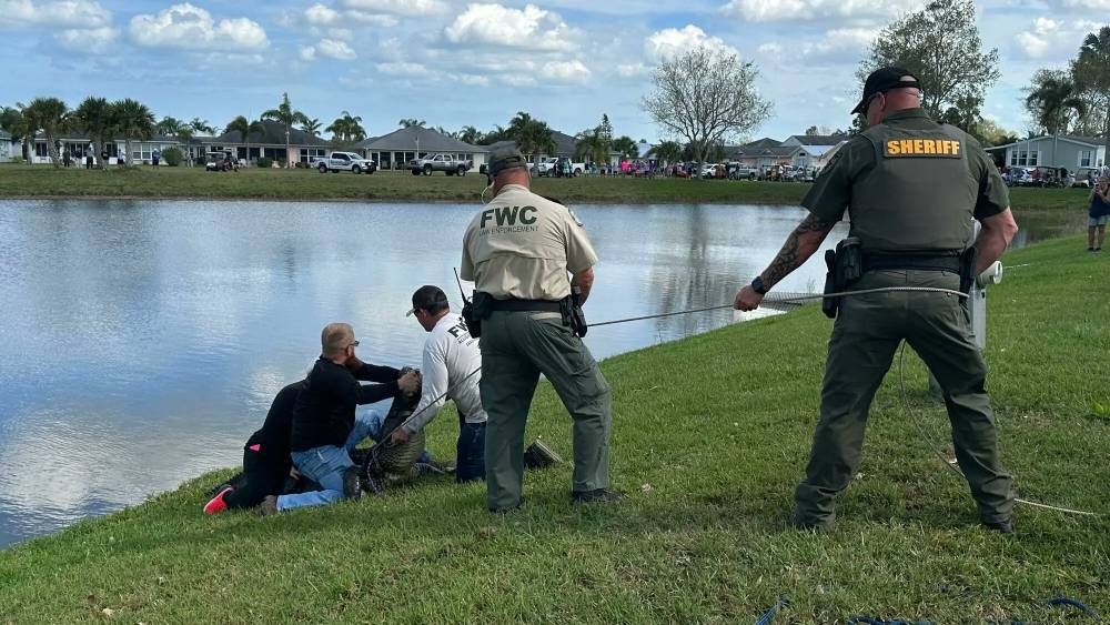美佛州85歲老婦池塘邊遛狗 遭10呎巨鱷襲擊身亡