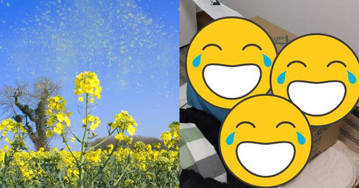 upload_article_image