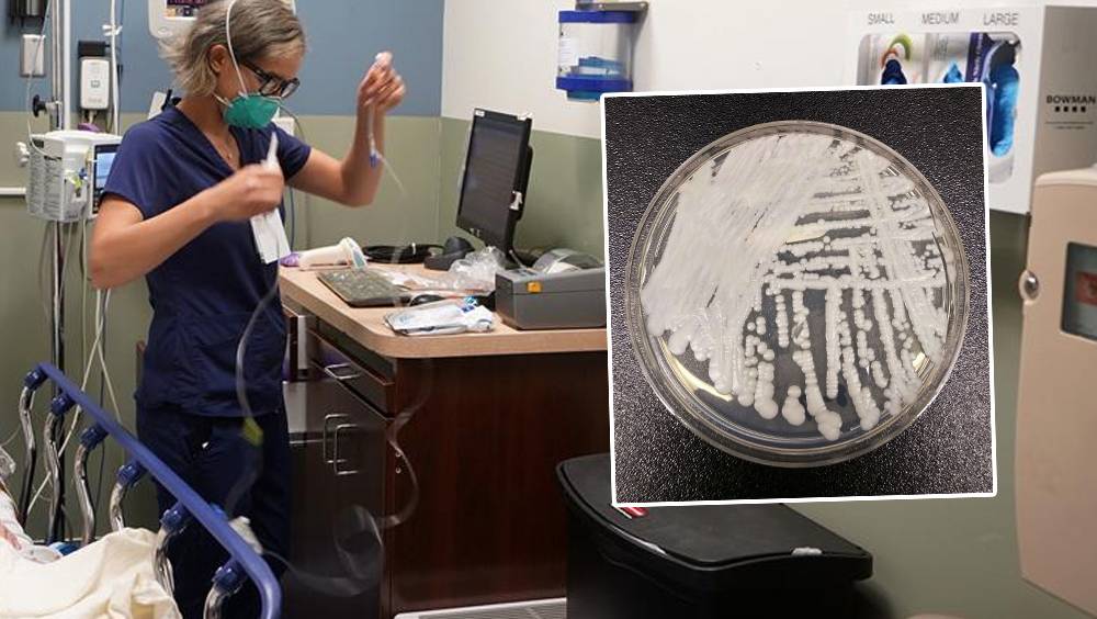 全美醫療機構爆發耳念珠菌感染 近半患者90天內亡